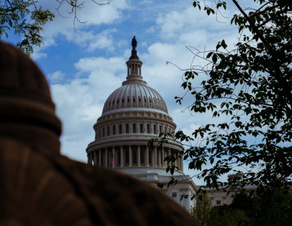 The US Capitol building shaded by a tree.