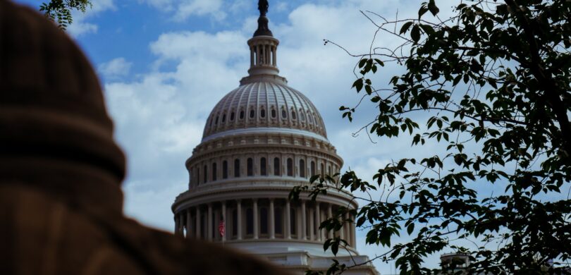 The US Capitol building shaded by a tree.